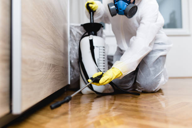 Best Termite Control Services  in Crestwood Village, NJ