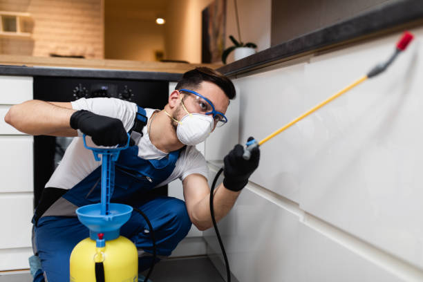 Best Local Pest Control Services  in Crestwood Village, NJ