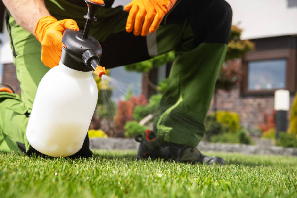 Best Pest Control for Businesses  in Crestwood Village, NJ