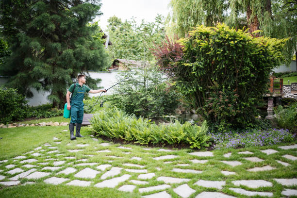 Trusted Crestwood Village, NJ Pest Control Experts