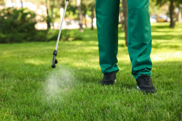 Best Wasp Removal Services  in Crestwood Village, NJ