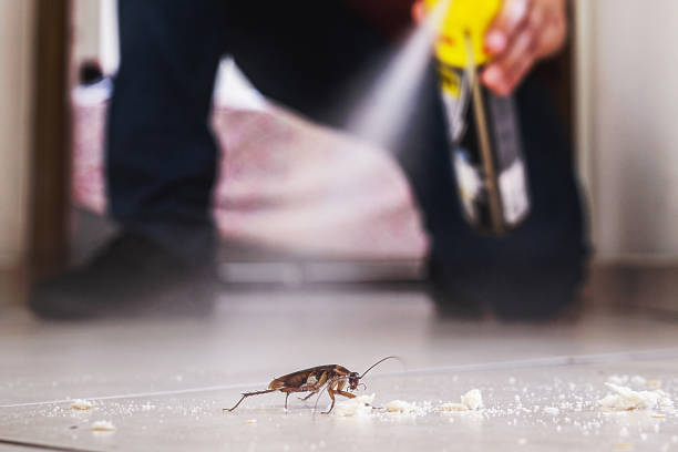 Best Residential Pest Control  in Crestwood Village, NJ